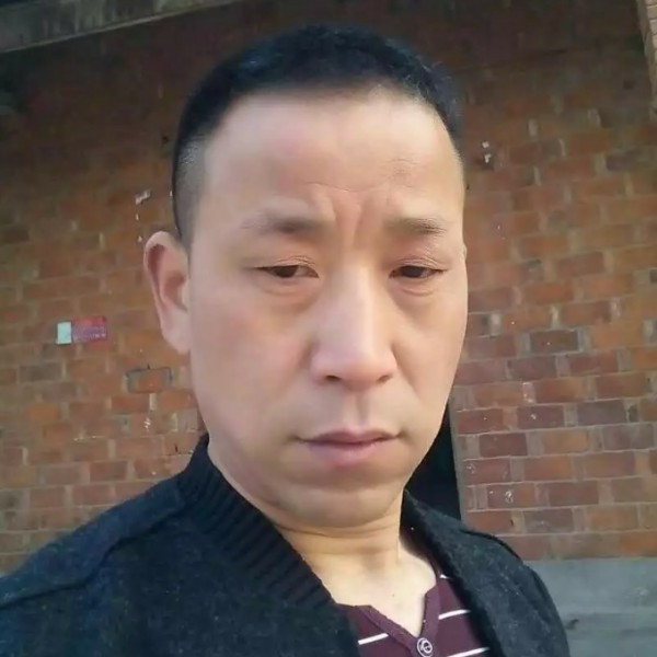 自-由的照片