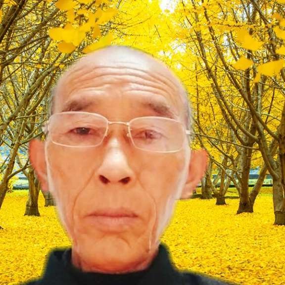 彪壮停止蓝莓的照片