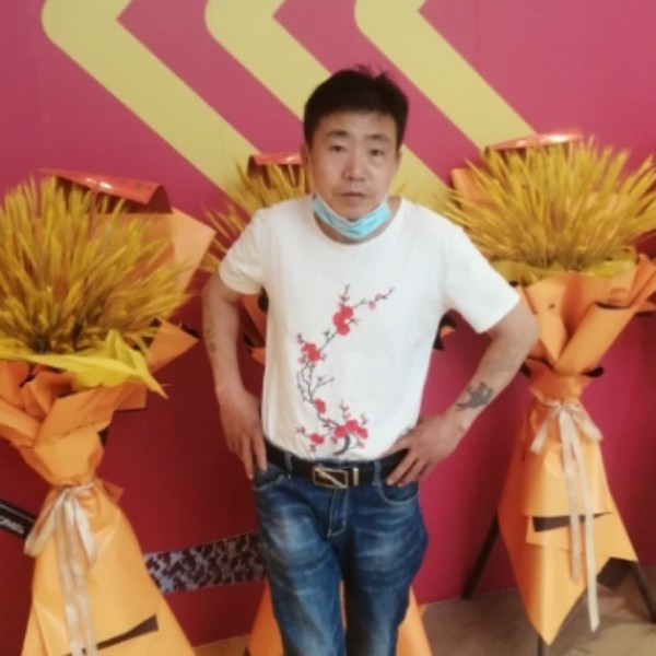 拼搏漫步小海豚的照片