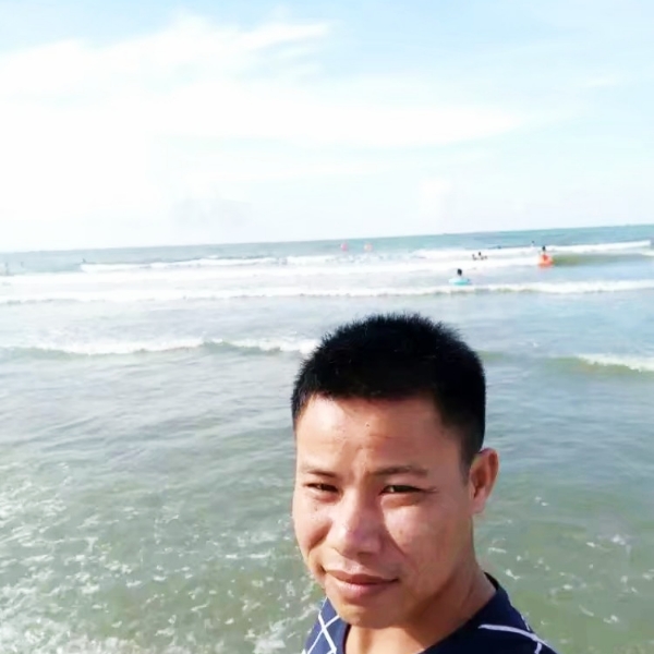 跳跃深拥小海豚的照片
