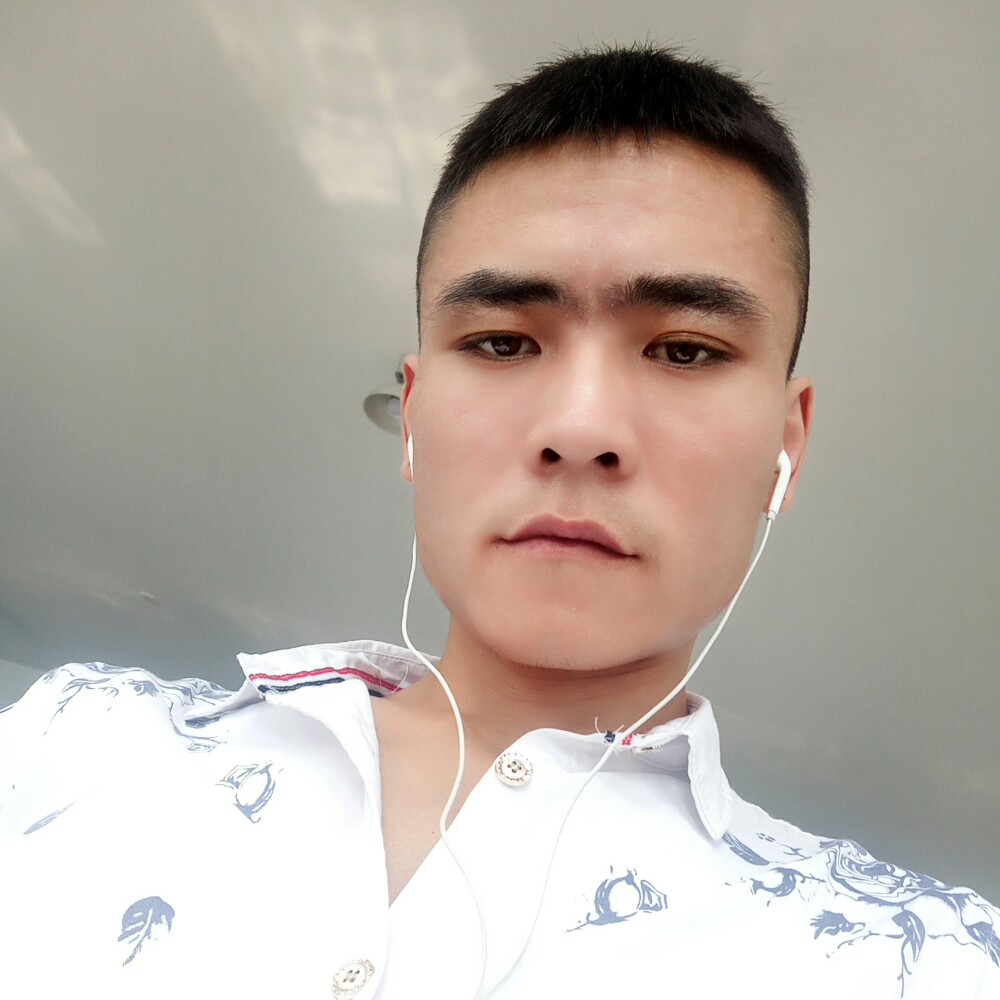 单纯泥猴桃的照片
