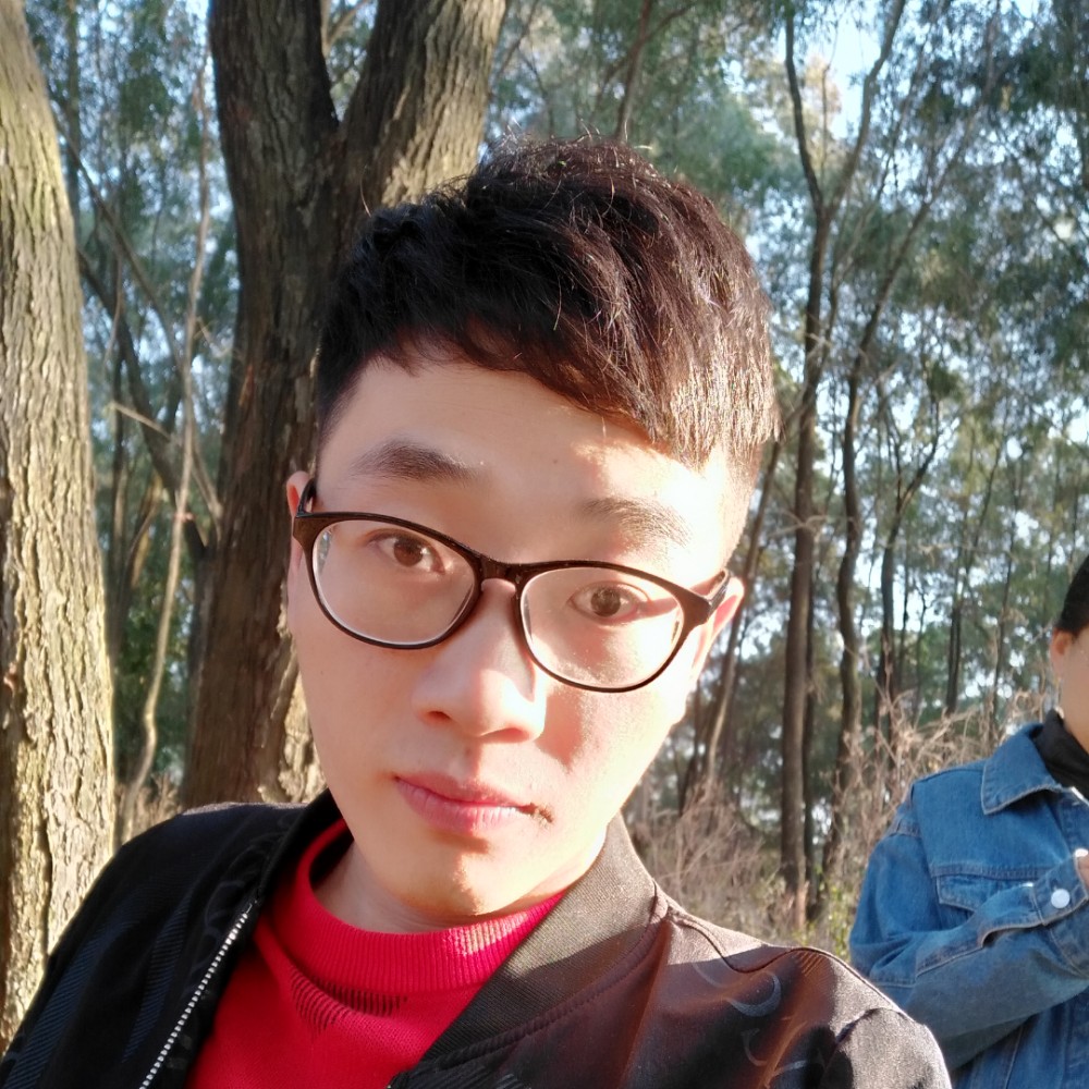 朴素漫步小刺猬的照片