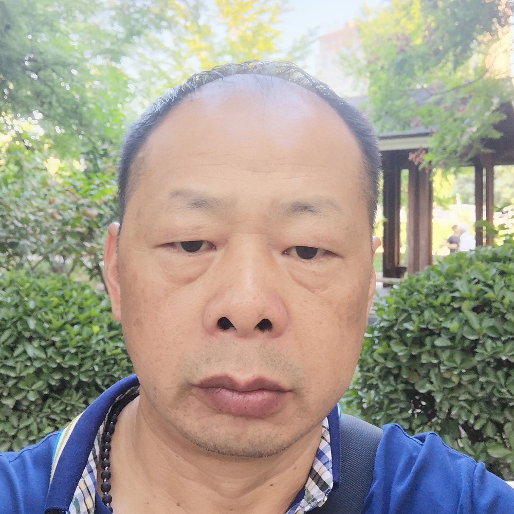 金哥凯旋的照片