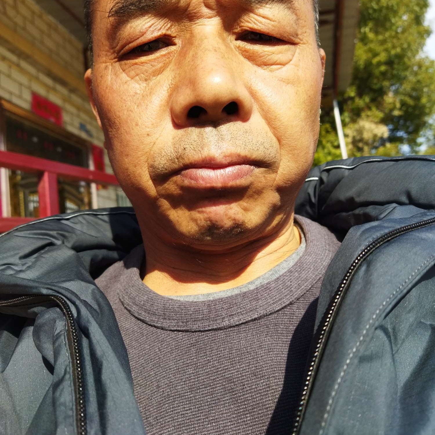 荷花浅吻自信的照片