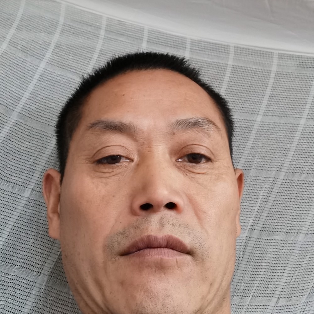 小蜜蜂相许无限的照片