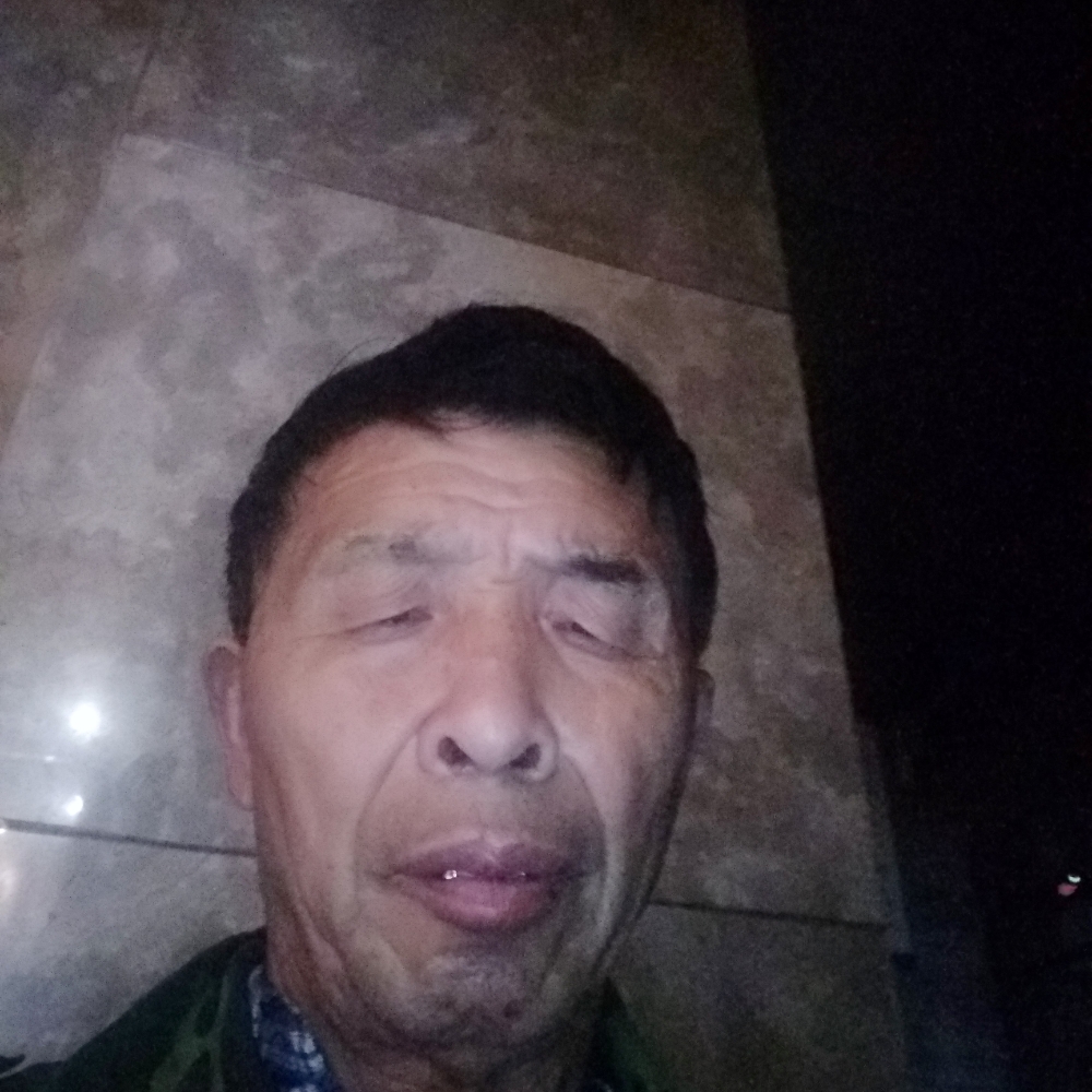 小狐狸頁漂亮的照片