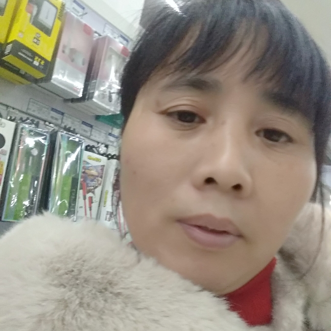 荷花的照片