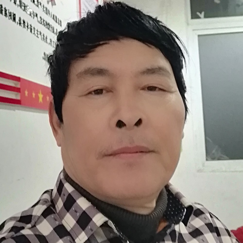刺猬迎孝顺的照片