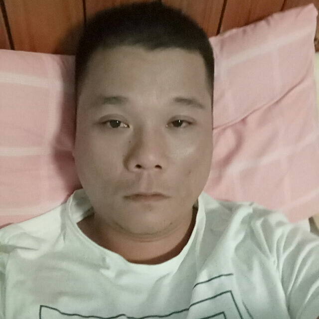 一个努力向上的灵的照片