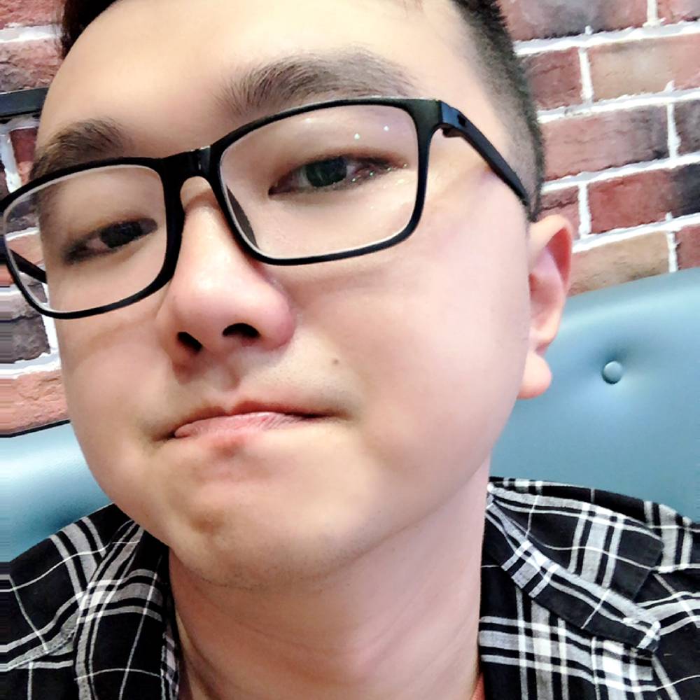 小丑蛇的照片