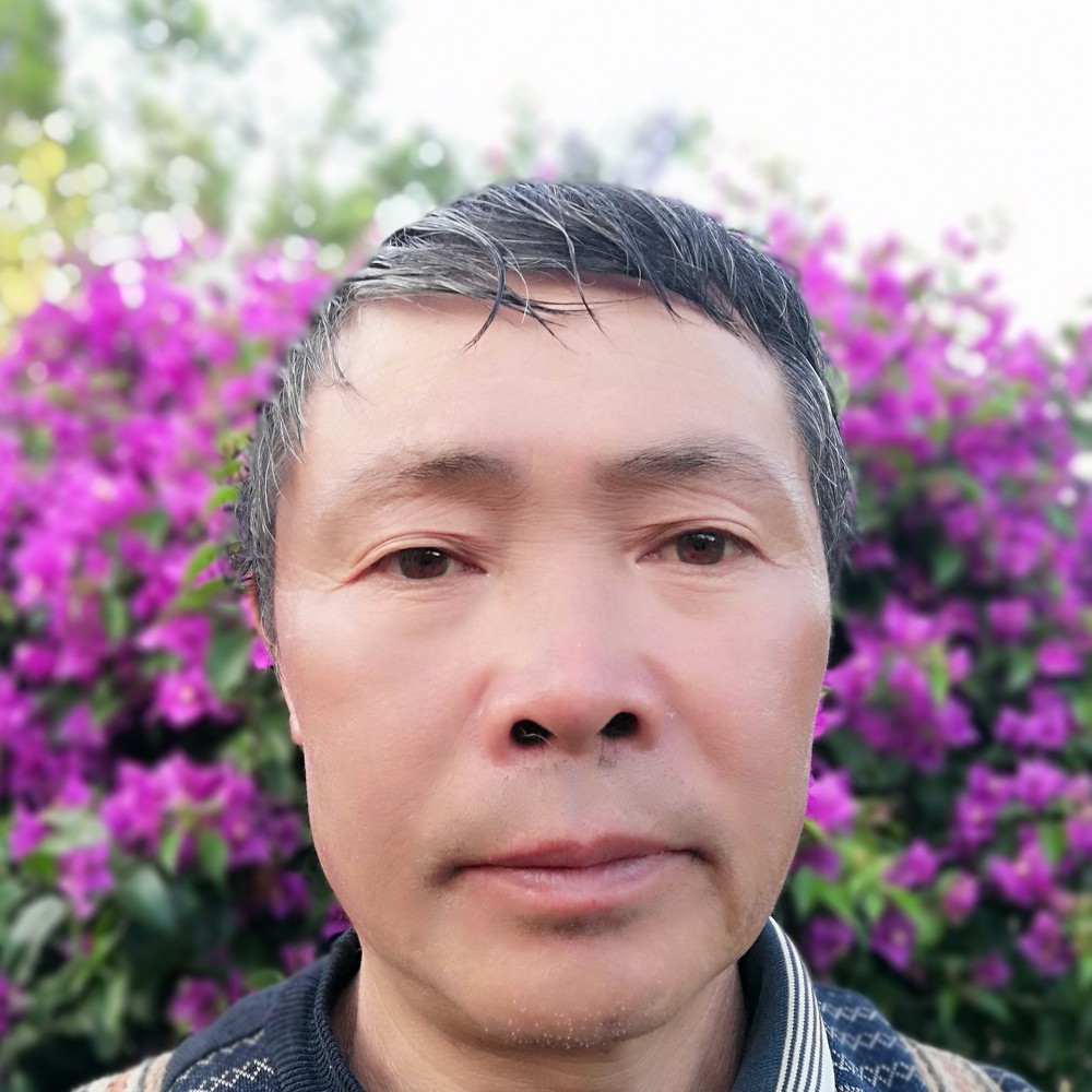 羽毛陶醉的照片