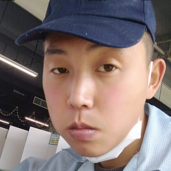 西北勇勇的照片