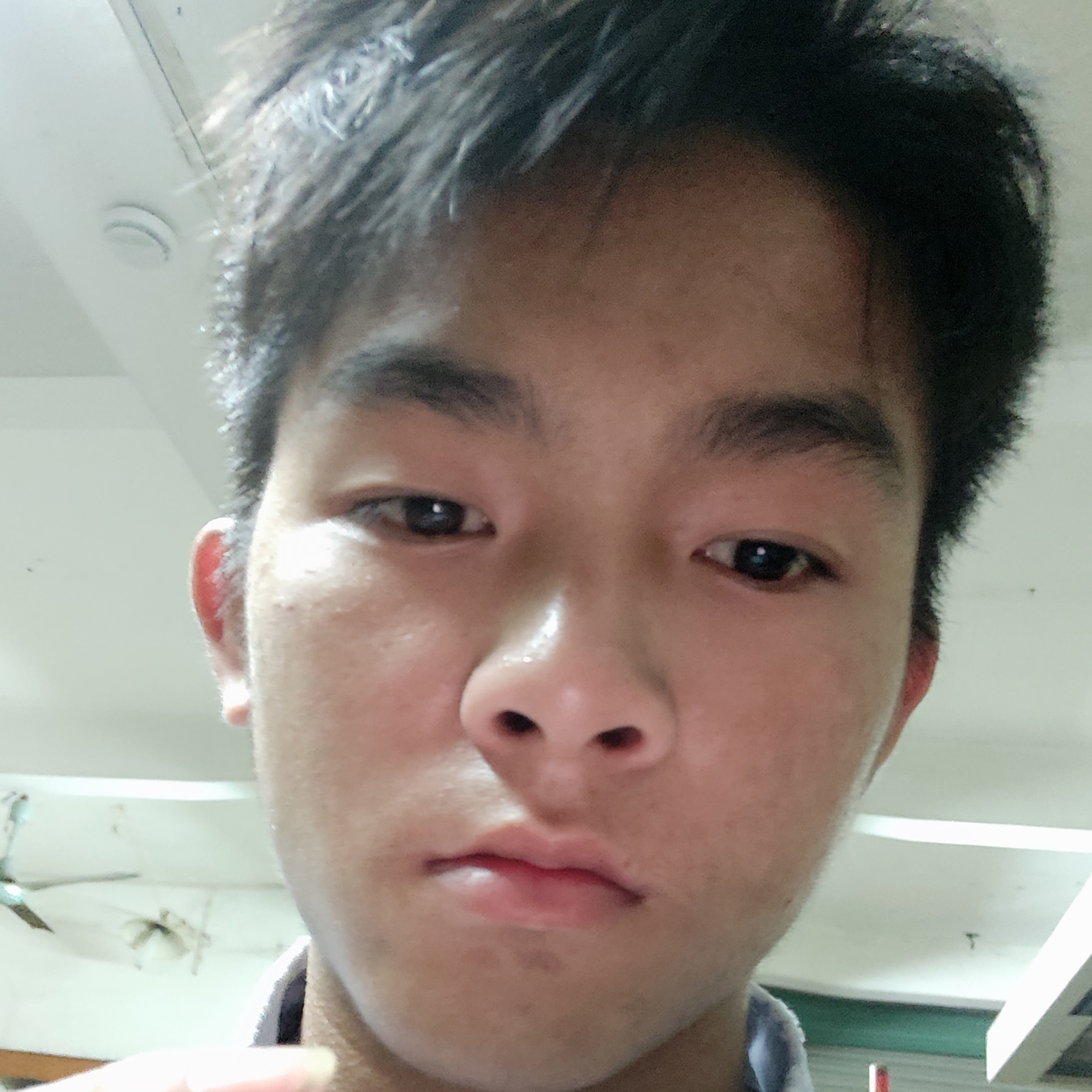 会员451010951的照片