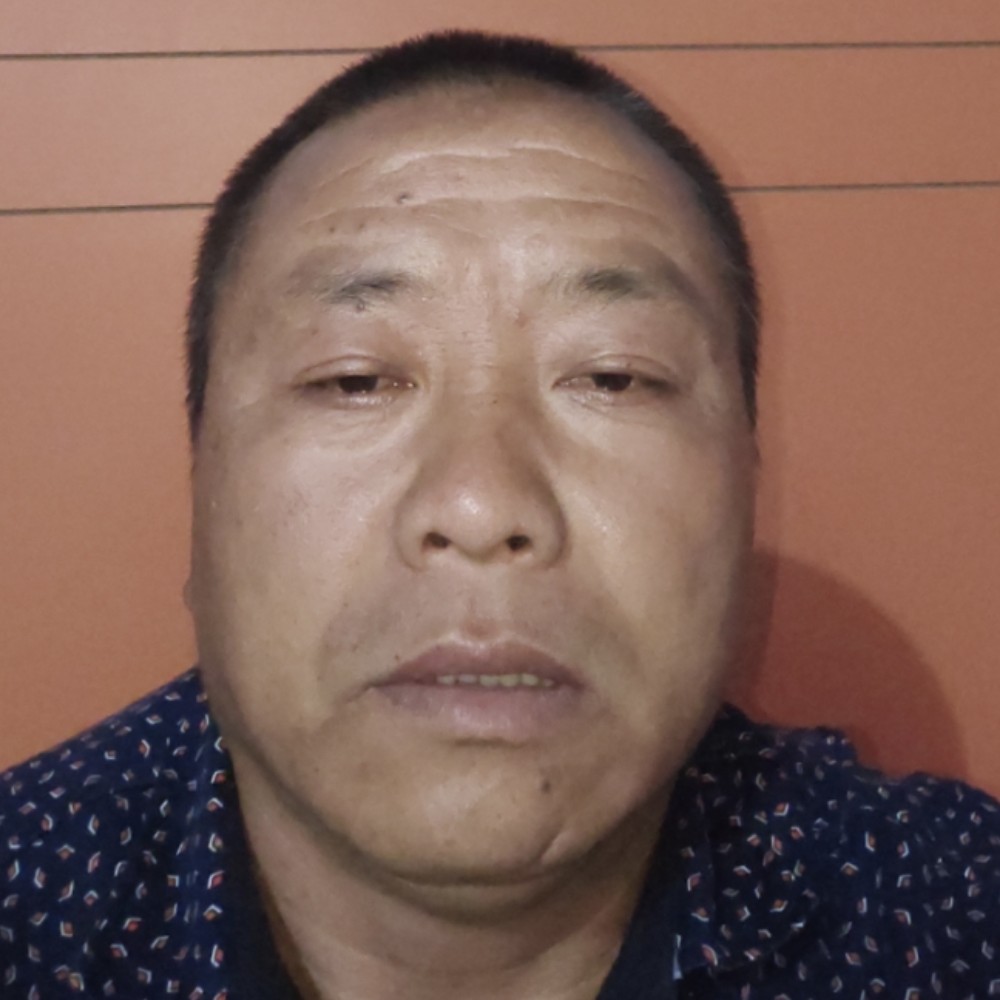 冬瓜认真的照片