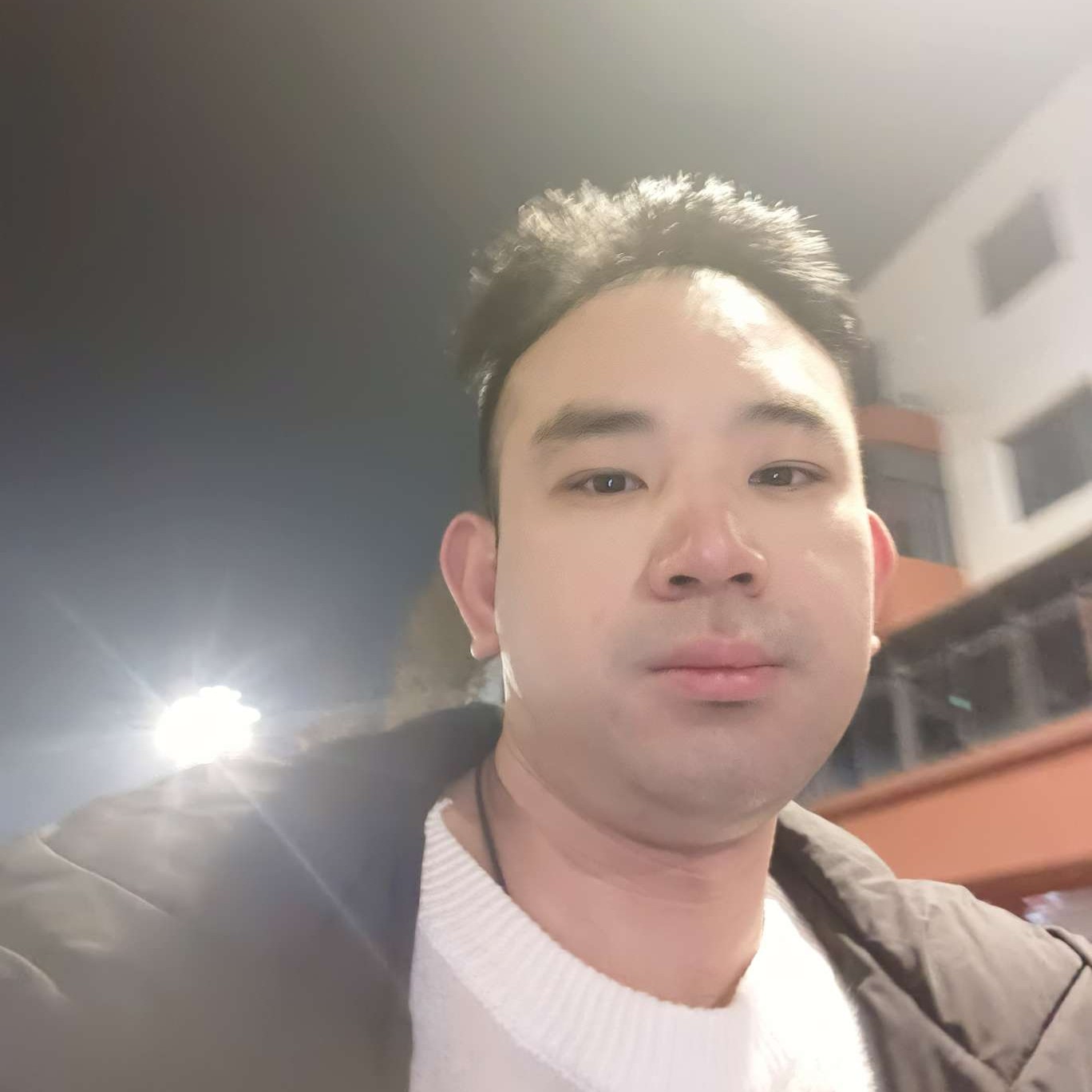 蜜粉重要的照片