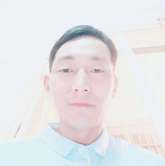 三月的桃花的照片