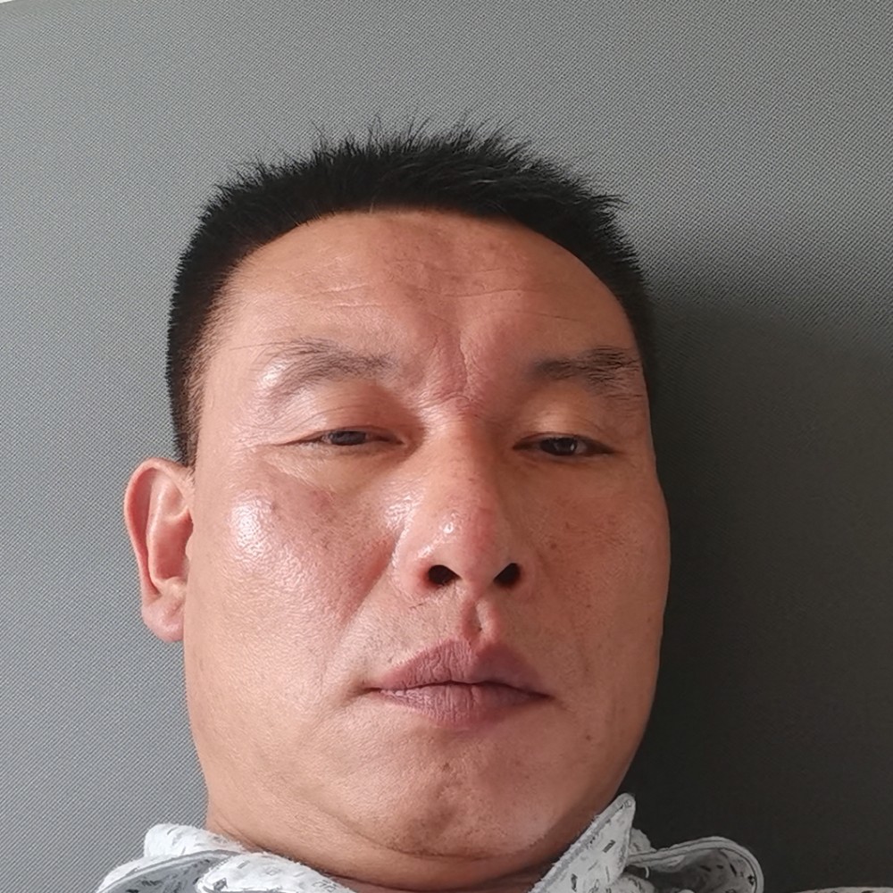 金百凤凰的照片