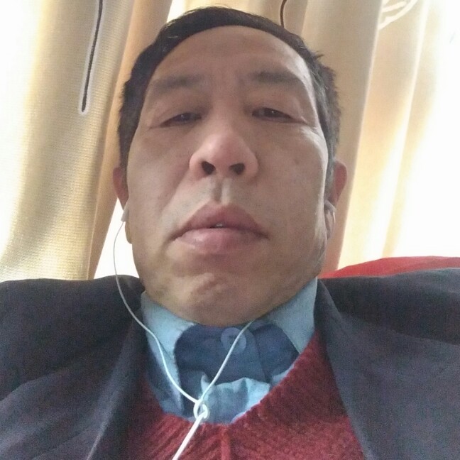 聪明的大象的照片