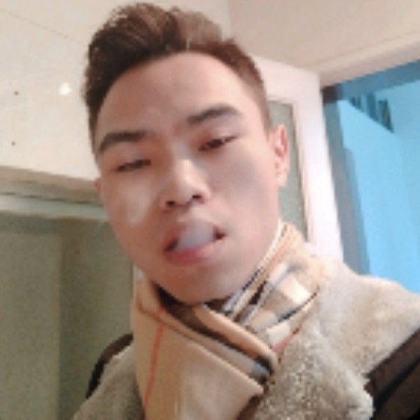 迷途的大猫的照片