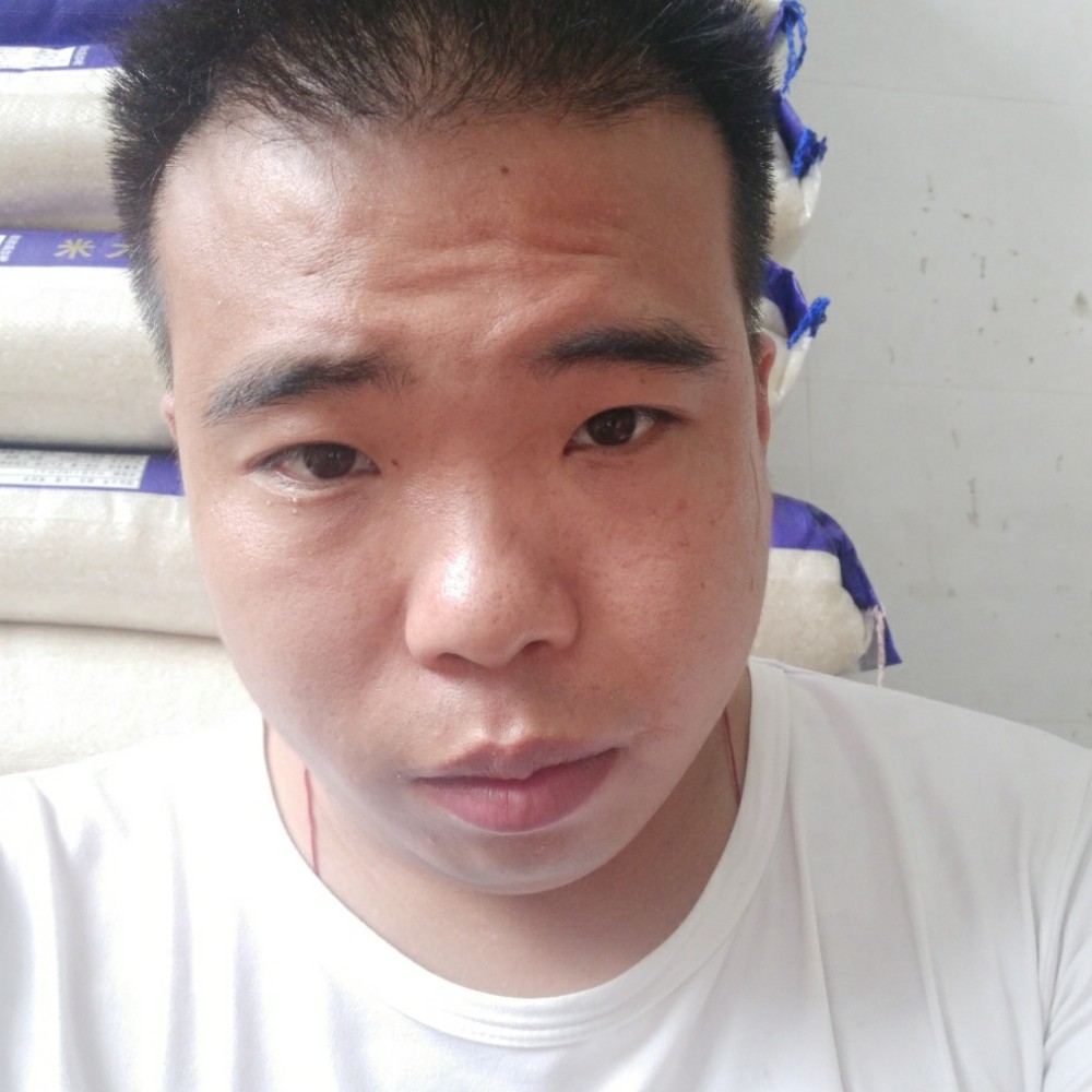 饼干合适的照片