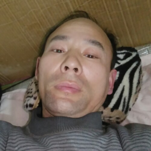 朝阳朝阳朝阳的照片