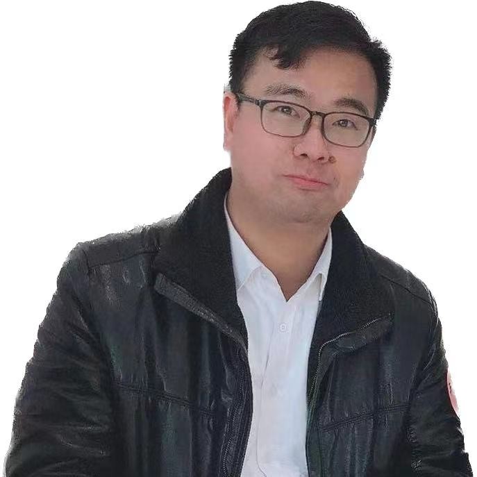大雁和老实的照片