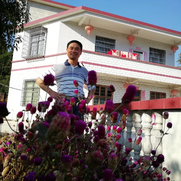 无限演变凉笙的照片
