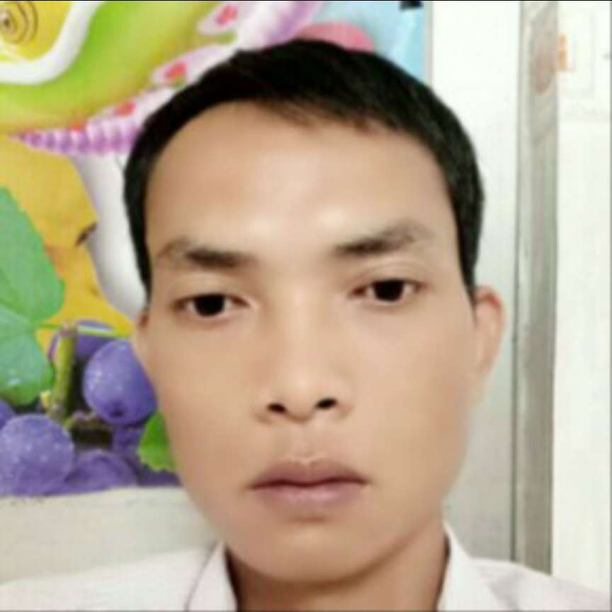 紫菜多么陶醉的照片