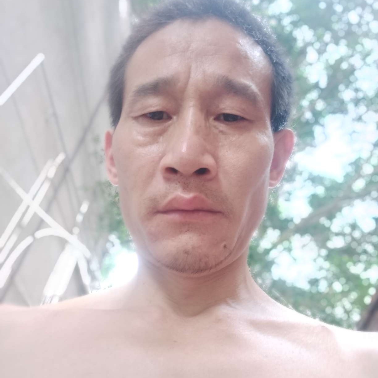 会员340455450的照片