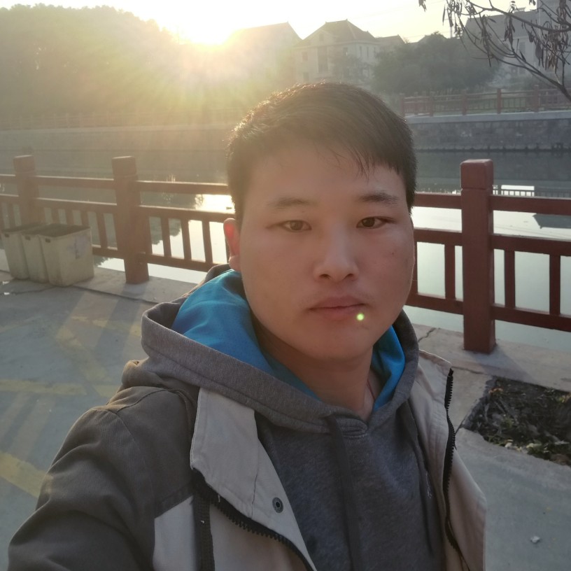 另一只单身狗的照片
