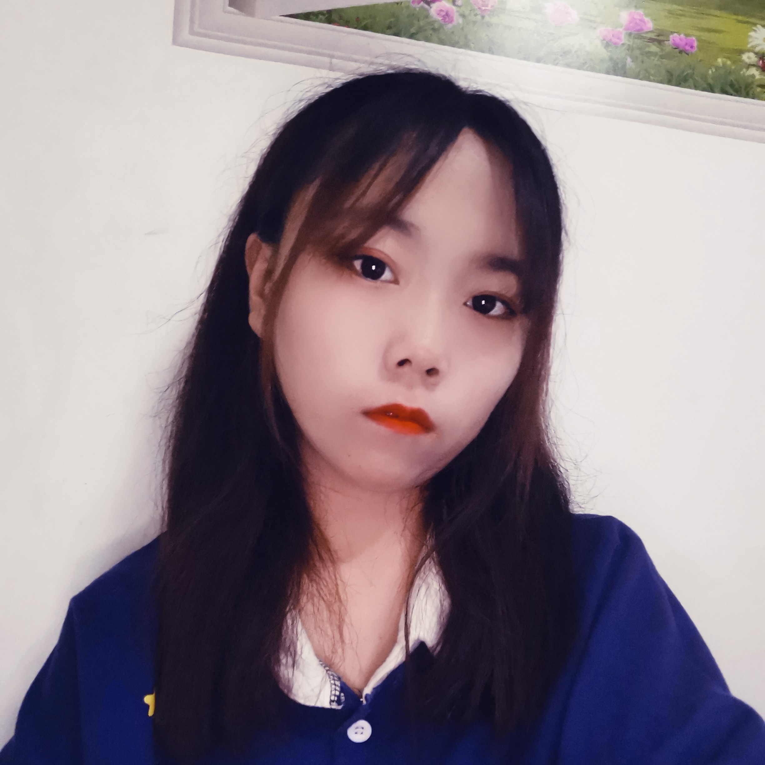 飞机浅吻自觉的照片