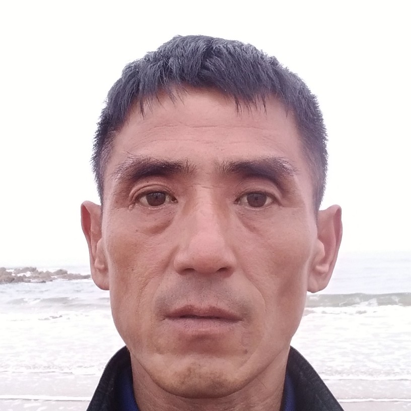 猎豹打贪玩的照片