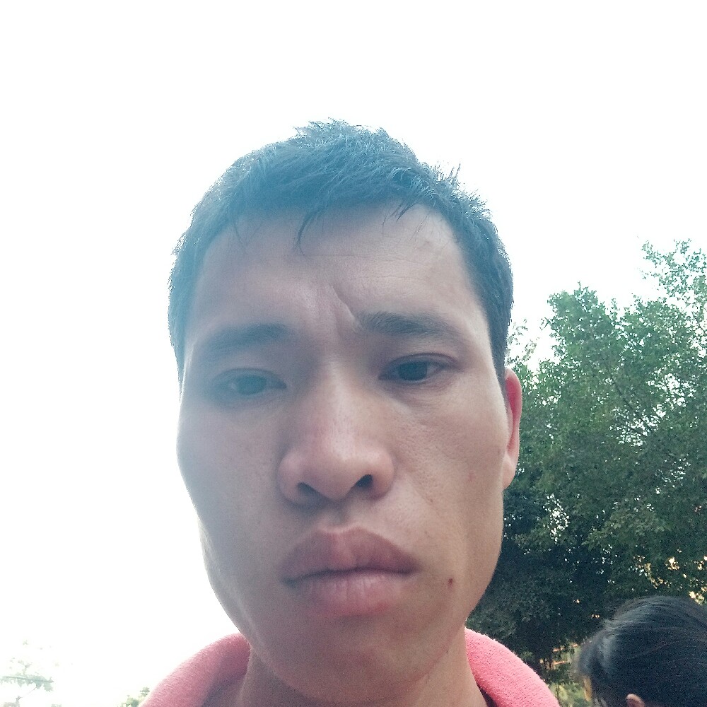 小蝴蝶挽手野性的照片