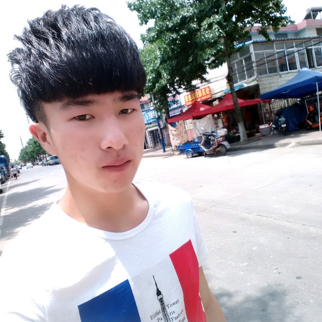 自觉迎大雁的照片