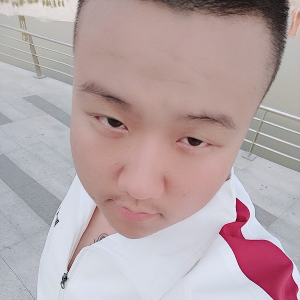 无聊多么黑猫的照片