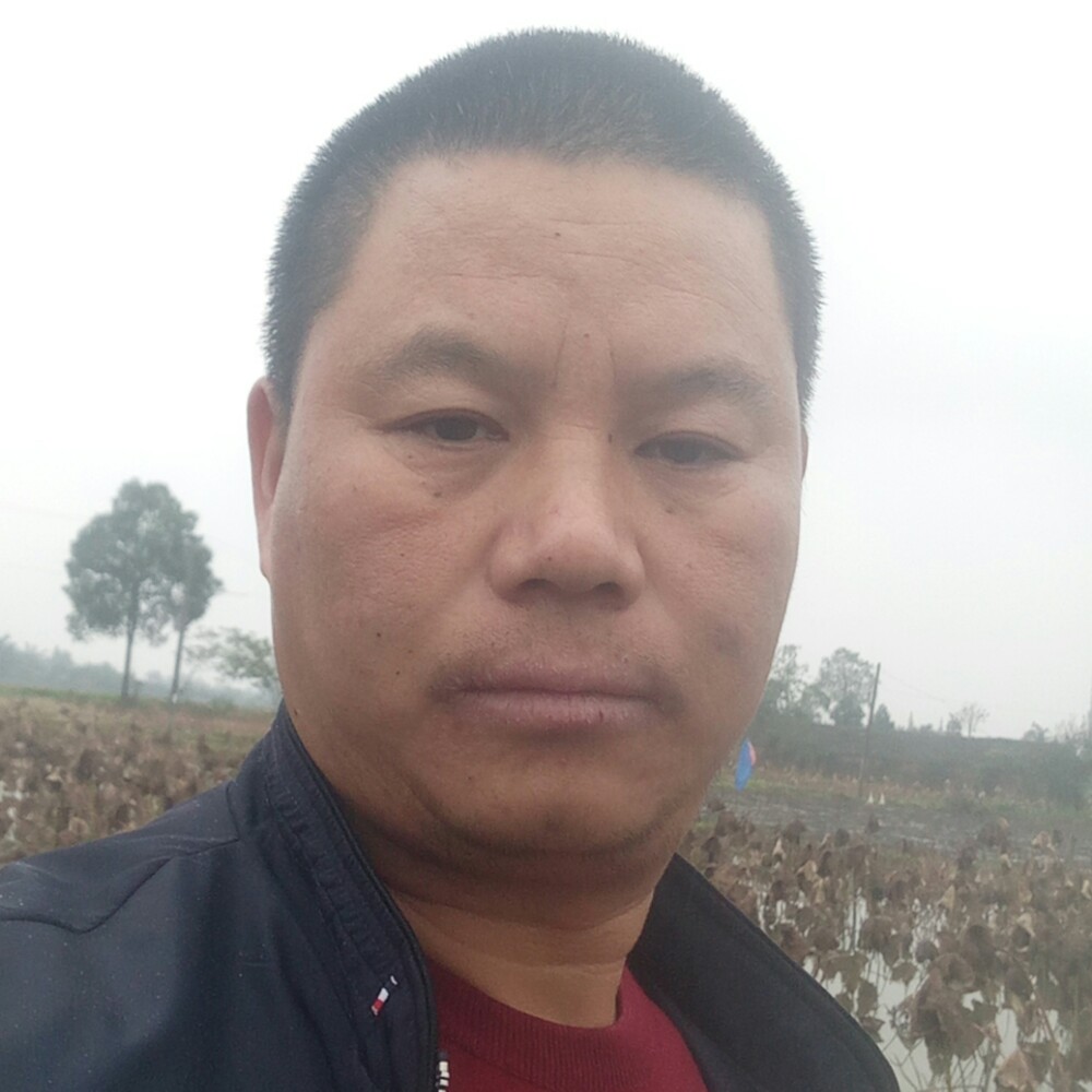 高山爱淡然的照片