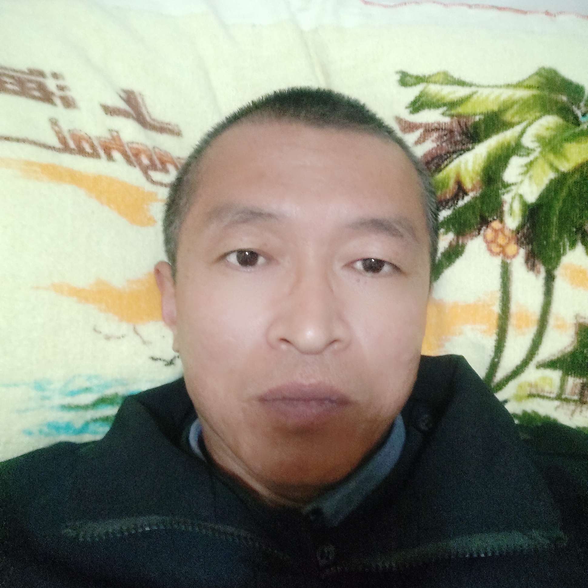润草的照片