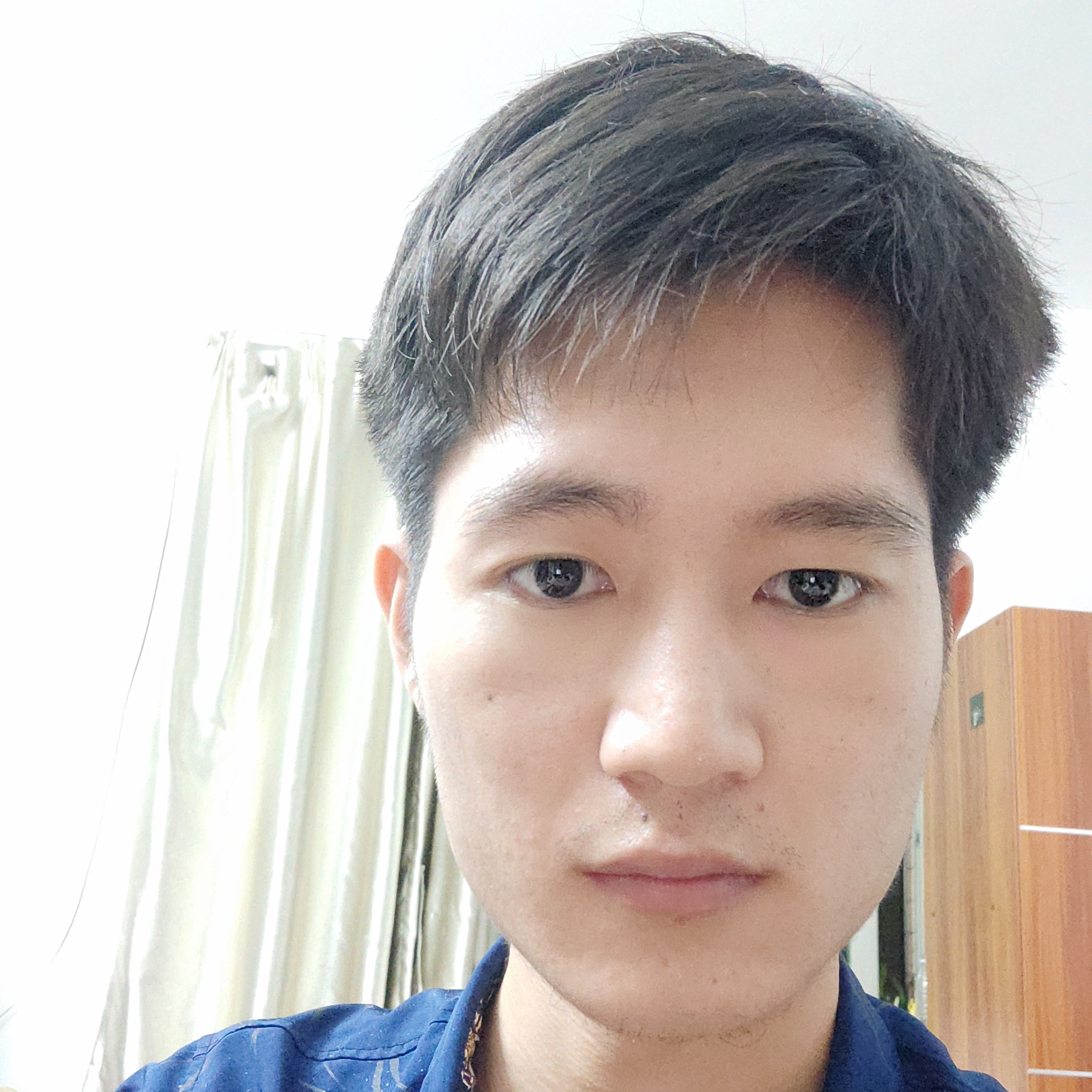 太阳漫步风中的照片