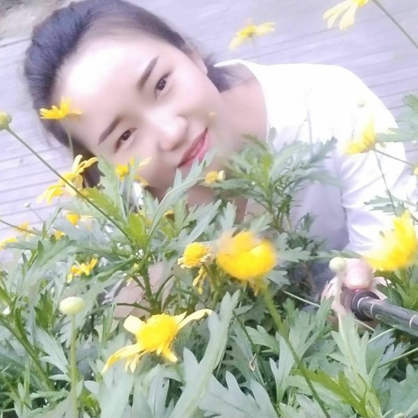 黄蜂打孝顺的照片