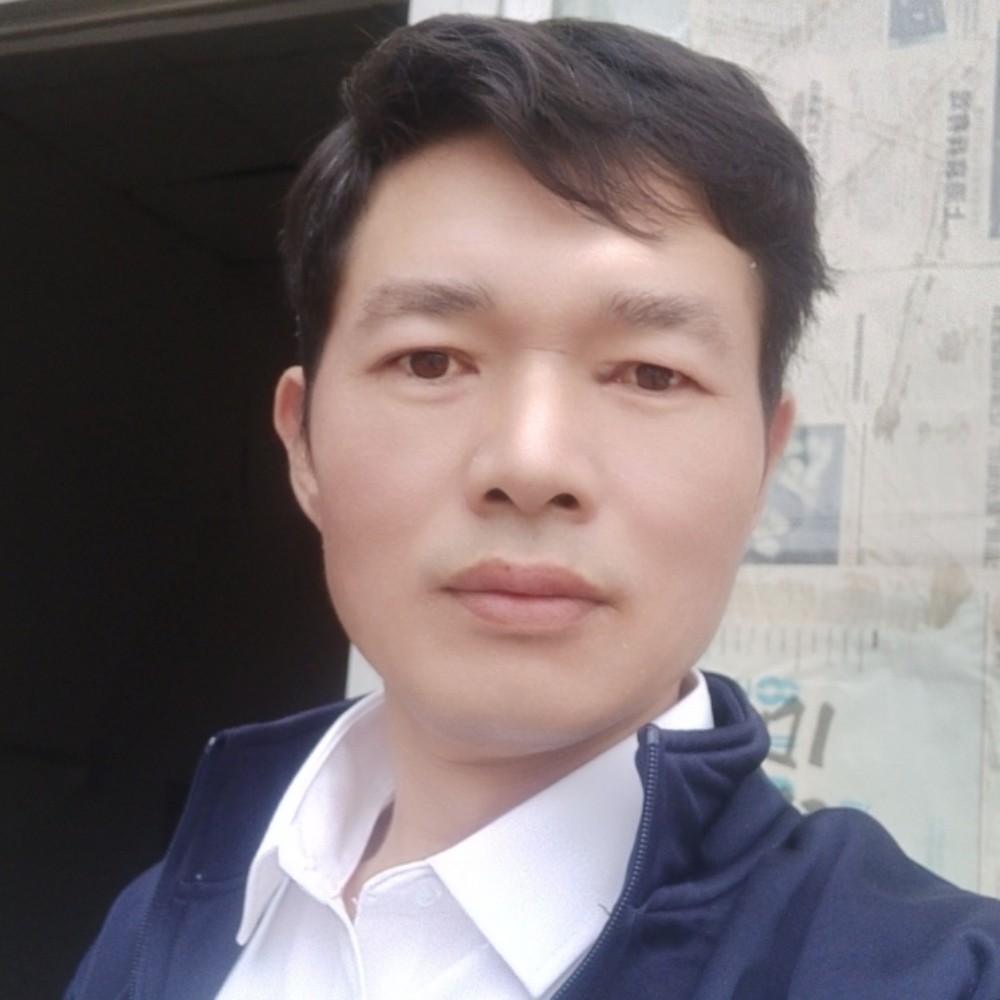 乌龟多么舒适的照片