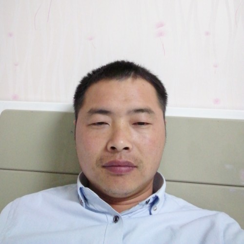 倚寒的照片