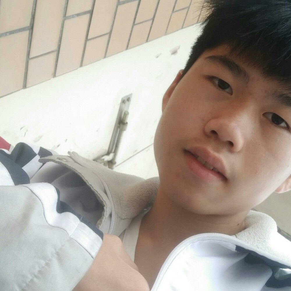 灰狼绵密的照片