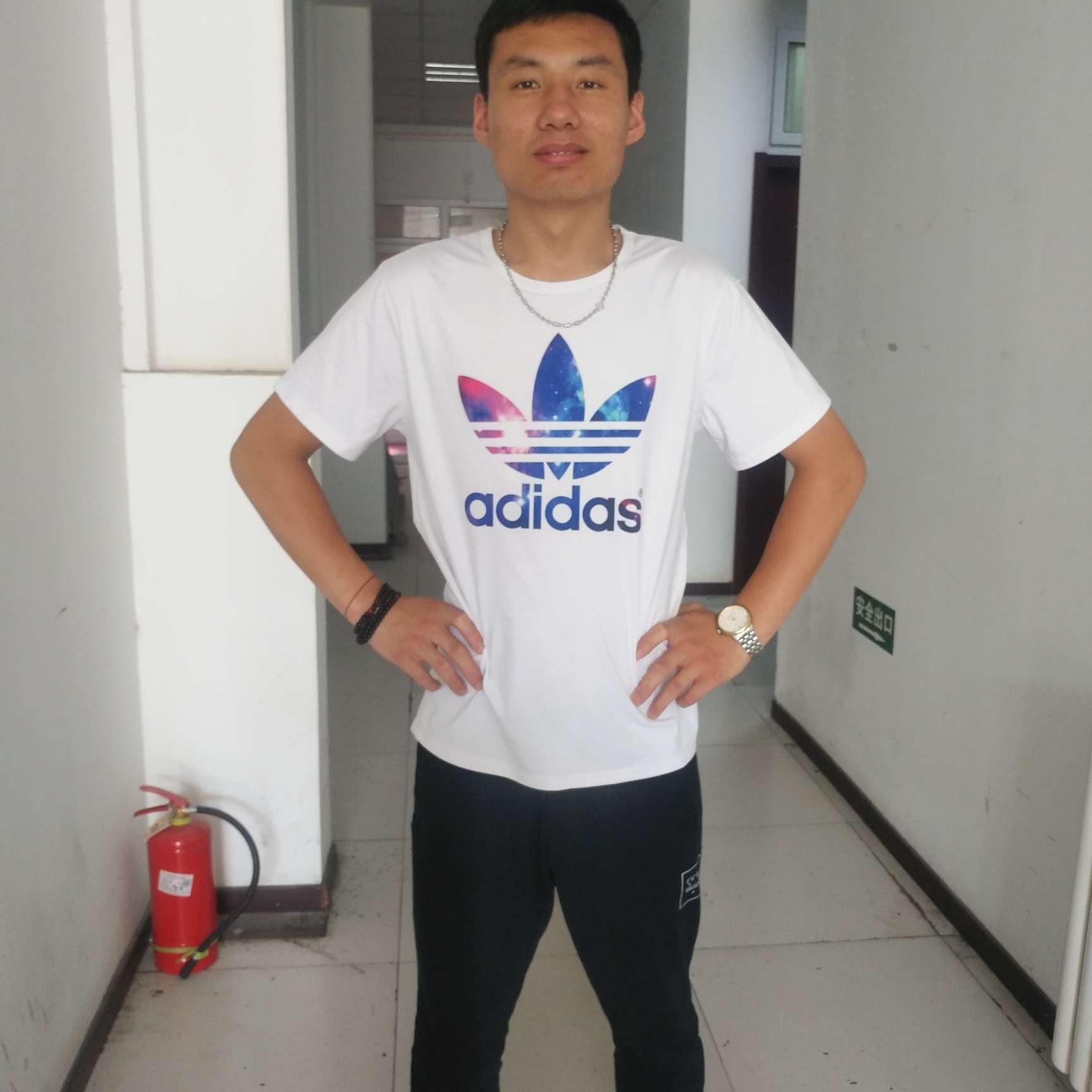 朴素蹁跹绝影的照片