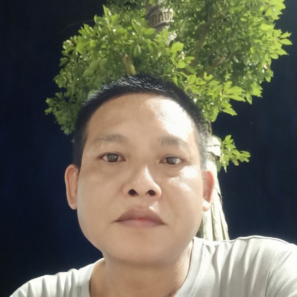 谱写的照片