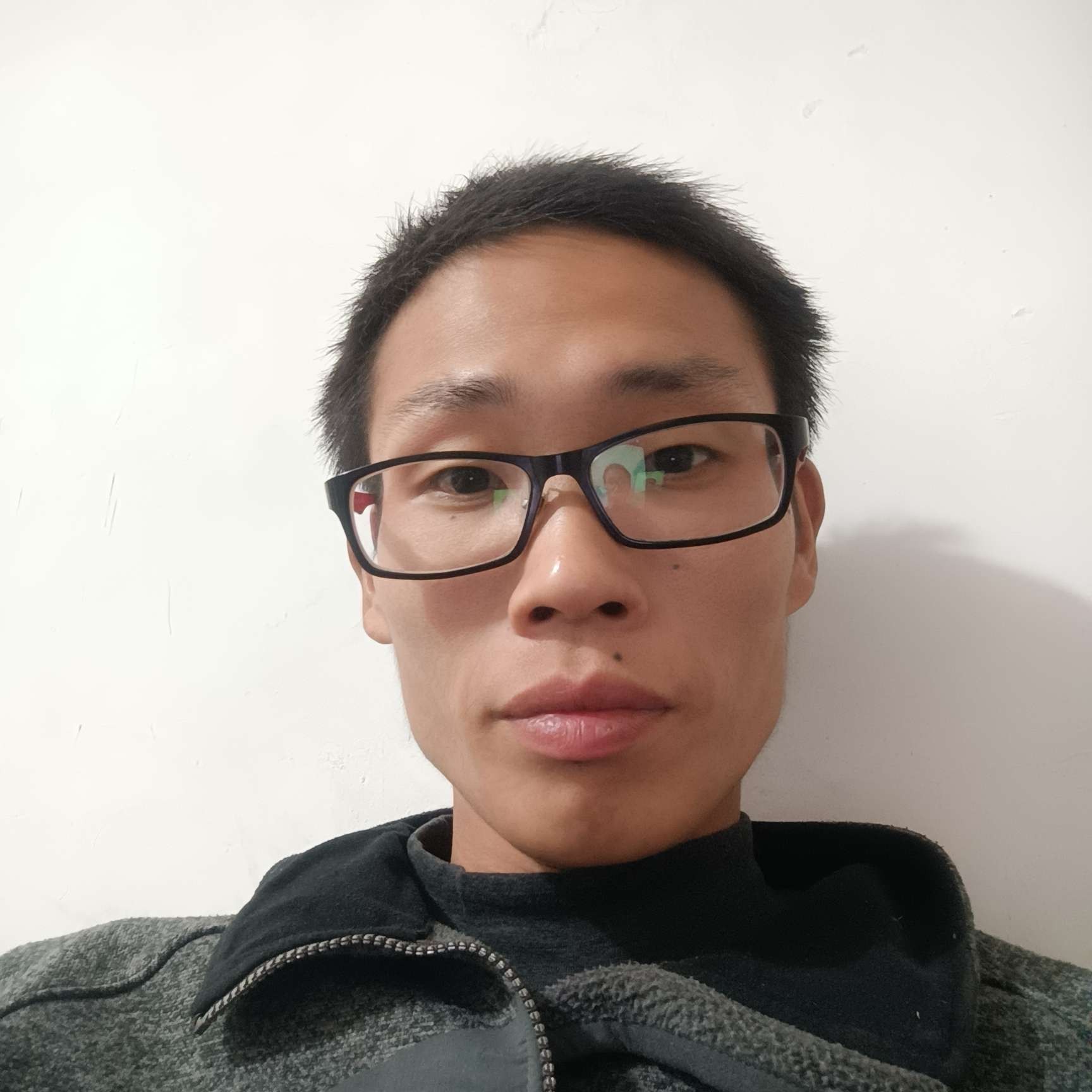 孤独的单雁的照片