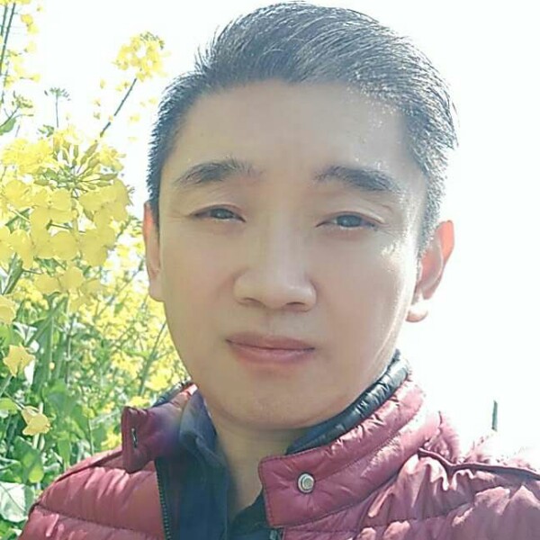 悲凉漫步大地的照片
