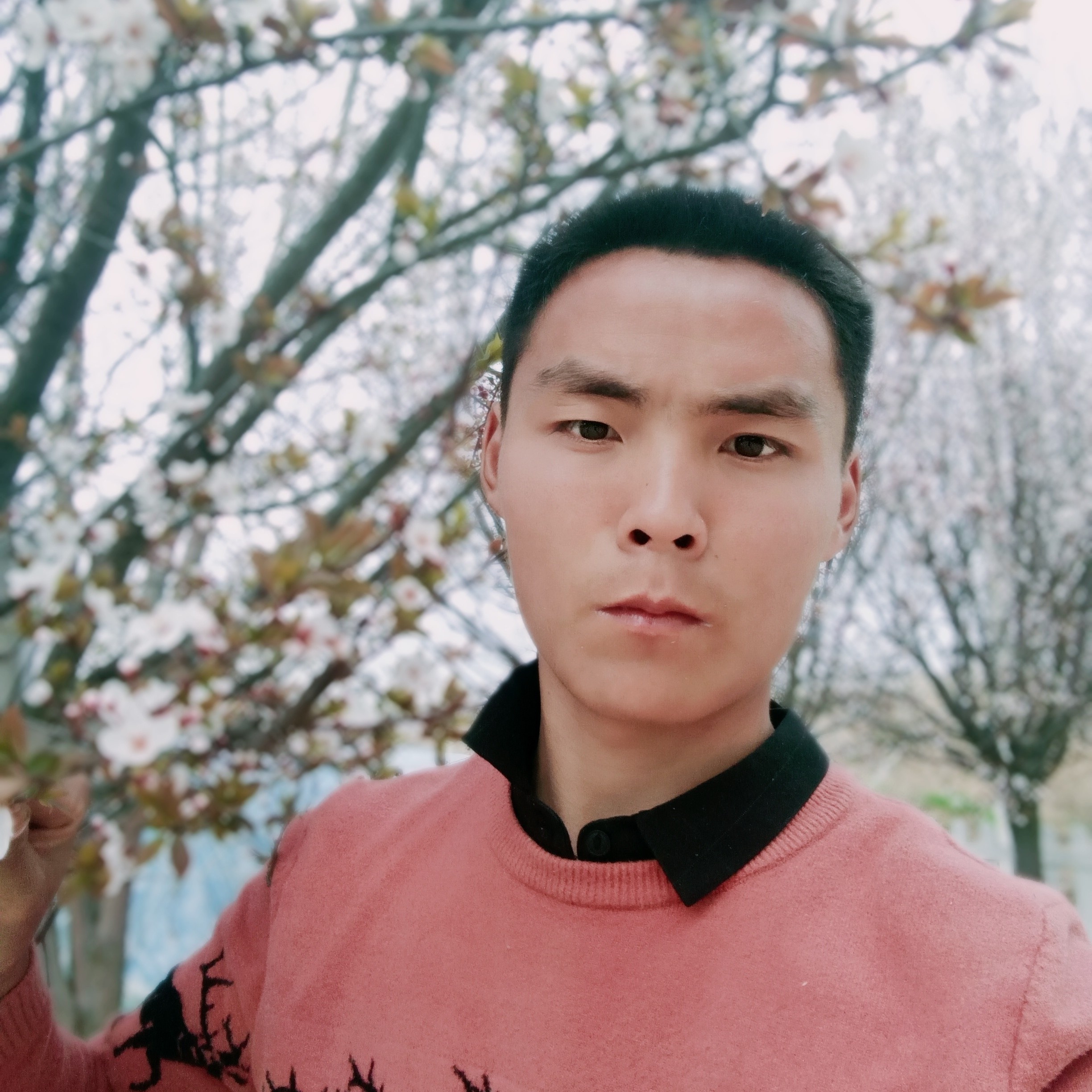 开心蹁跹荼蘼的照片