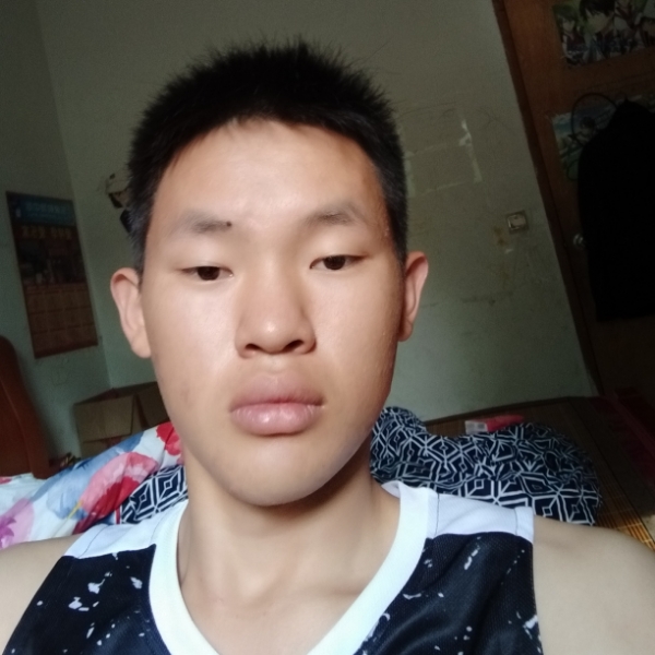 无语的砖头的照片