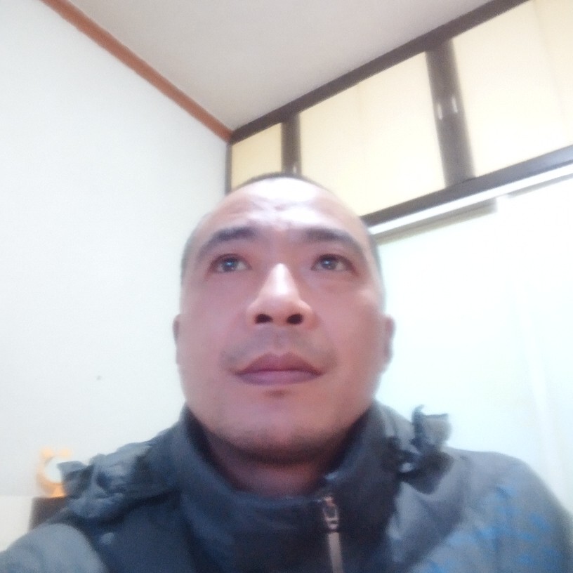 超帅还黄蜂的照片