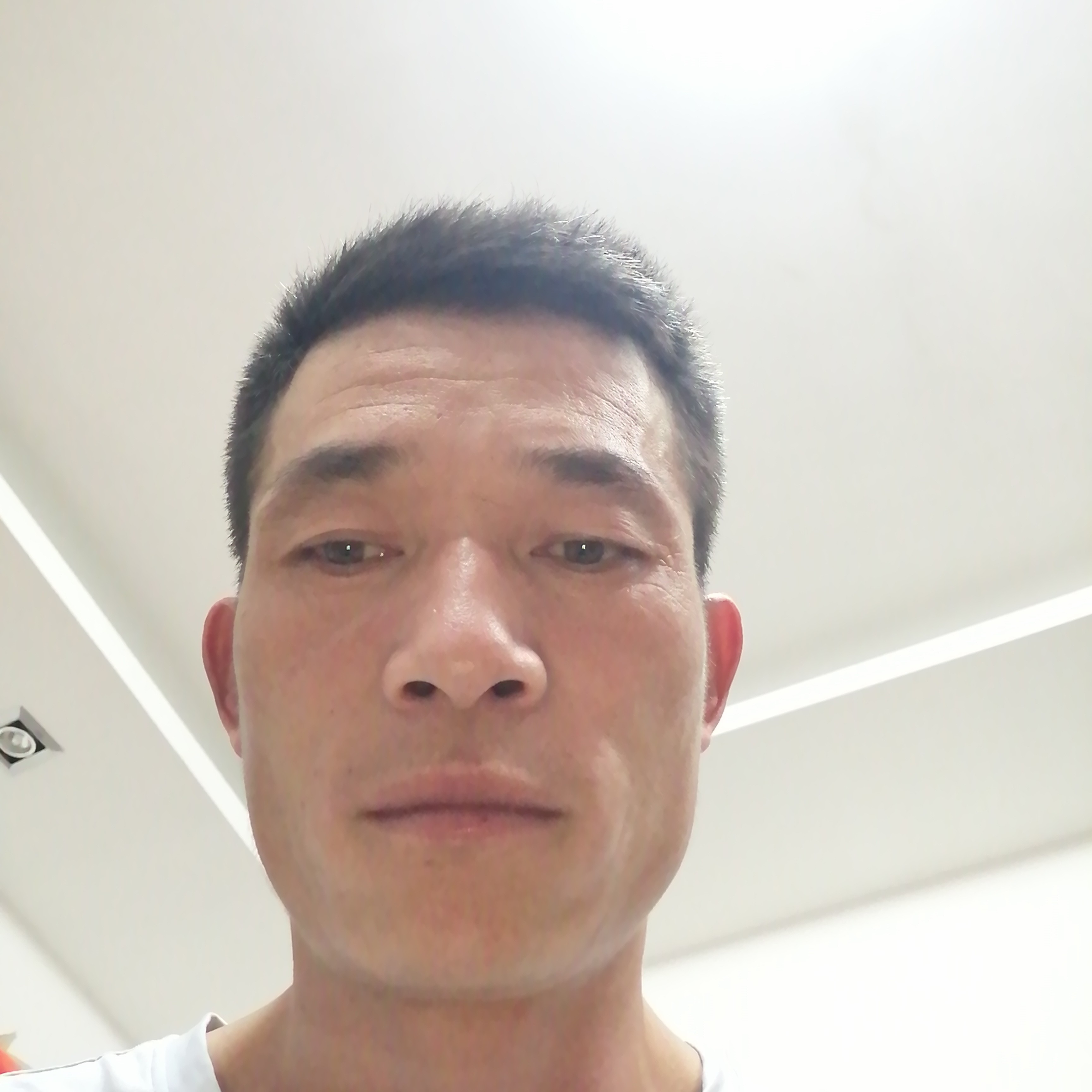 山岚漫步爱撒娇的照片